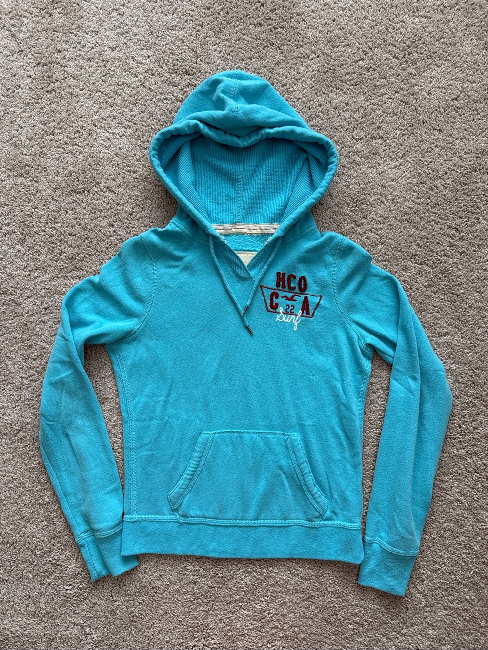 Y2K | Hollister Hoodie | size Medium